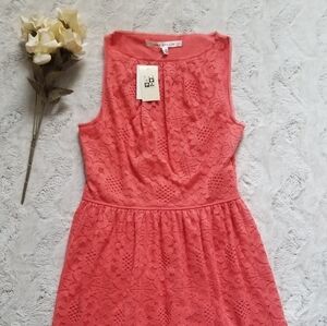 Max Studio Coral Lace Sleeveless Cotton Blend XS